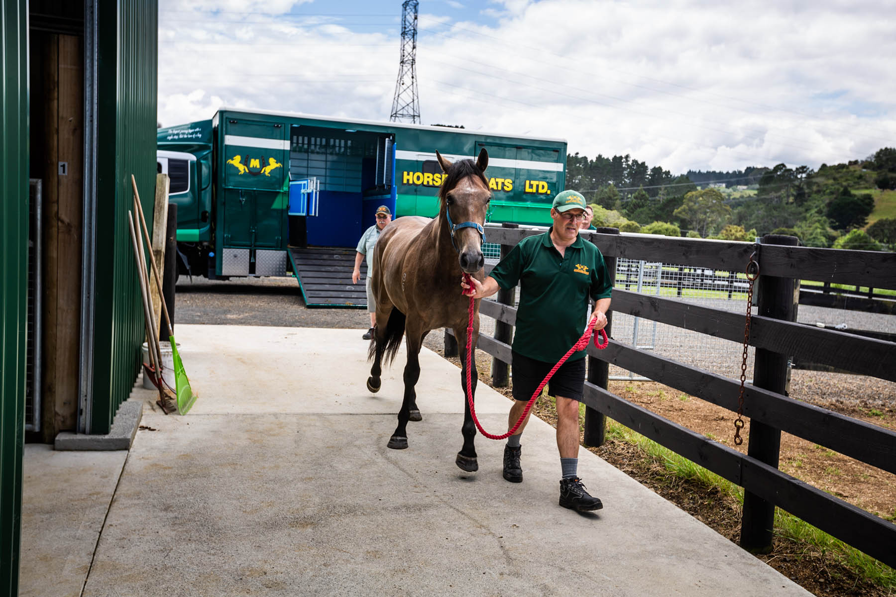 Keeping your horse cool during transport Majestic Horse Floats